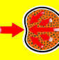 insert image